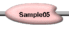 Sample05