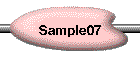 Sample07