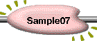Sample07
