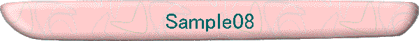 Sample08