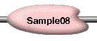 Sample08