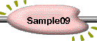 Sample09
